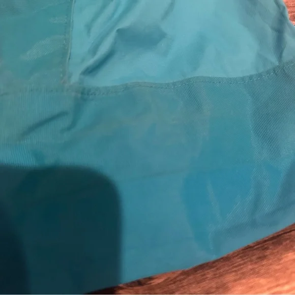 North face blue snow pants